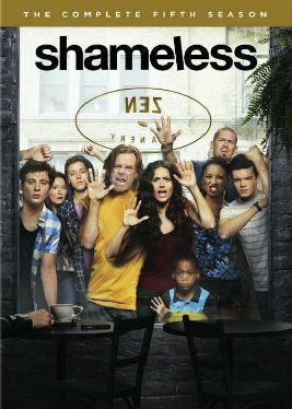 2) Shameless - TV Show, 2011-2021