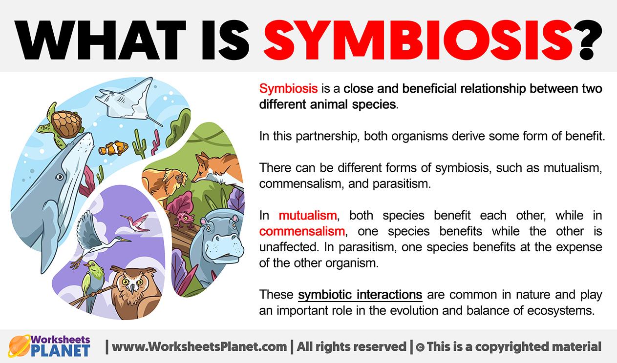 9) Symbiosis - Positioned⁤ at the ‍frontier ​of⁢ science fiction, Symbiosis dives into⁢ the existential implications of human-technology interfaces, ⁢a literal brain-teaser,⁤ not ‍for the faint-hearted