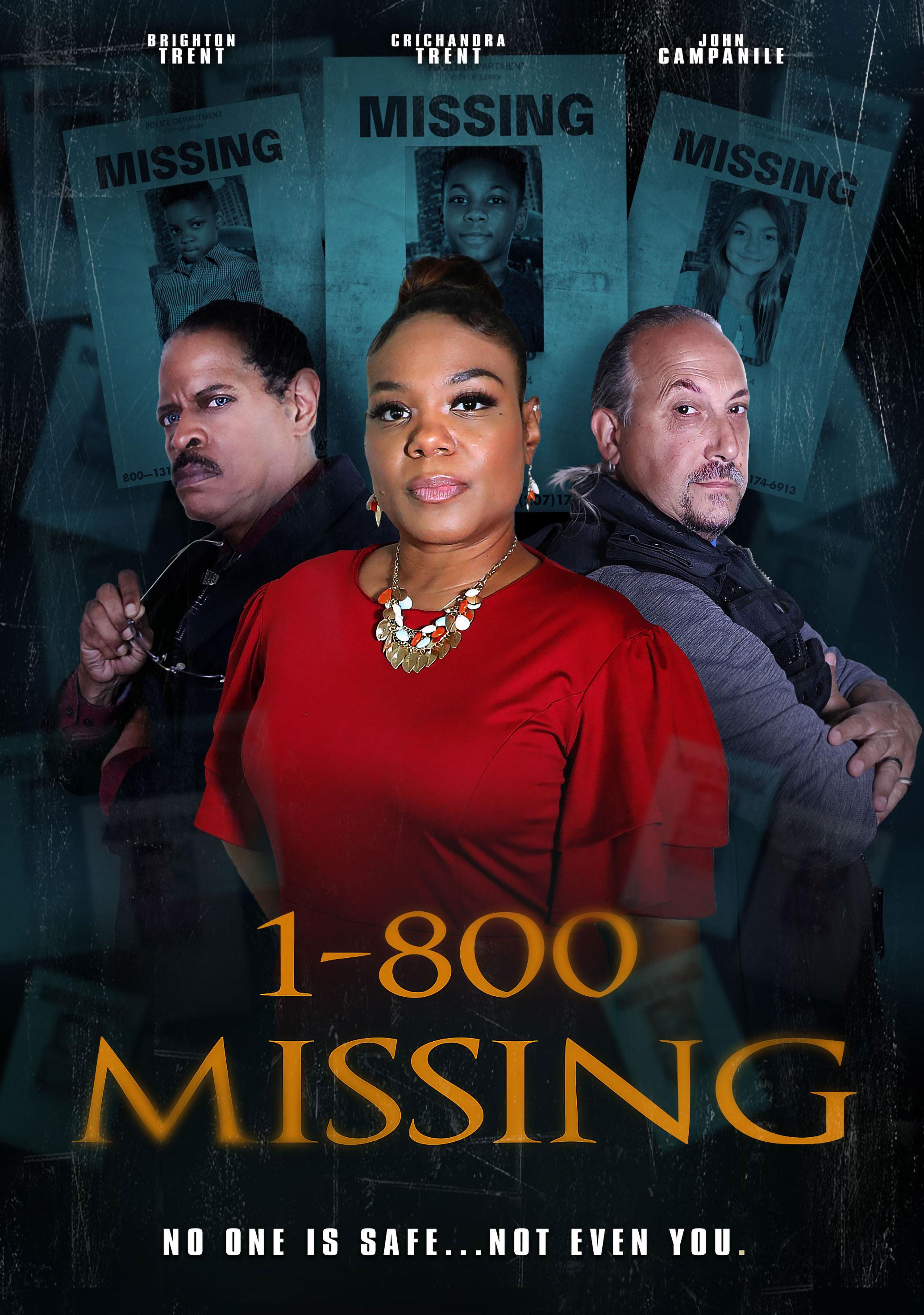 4) 1-800-Missing (2005) - TV Show