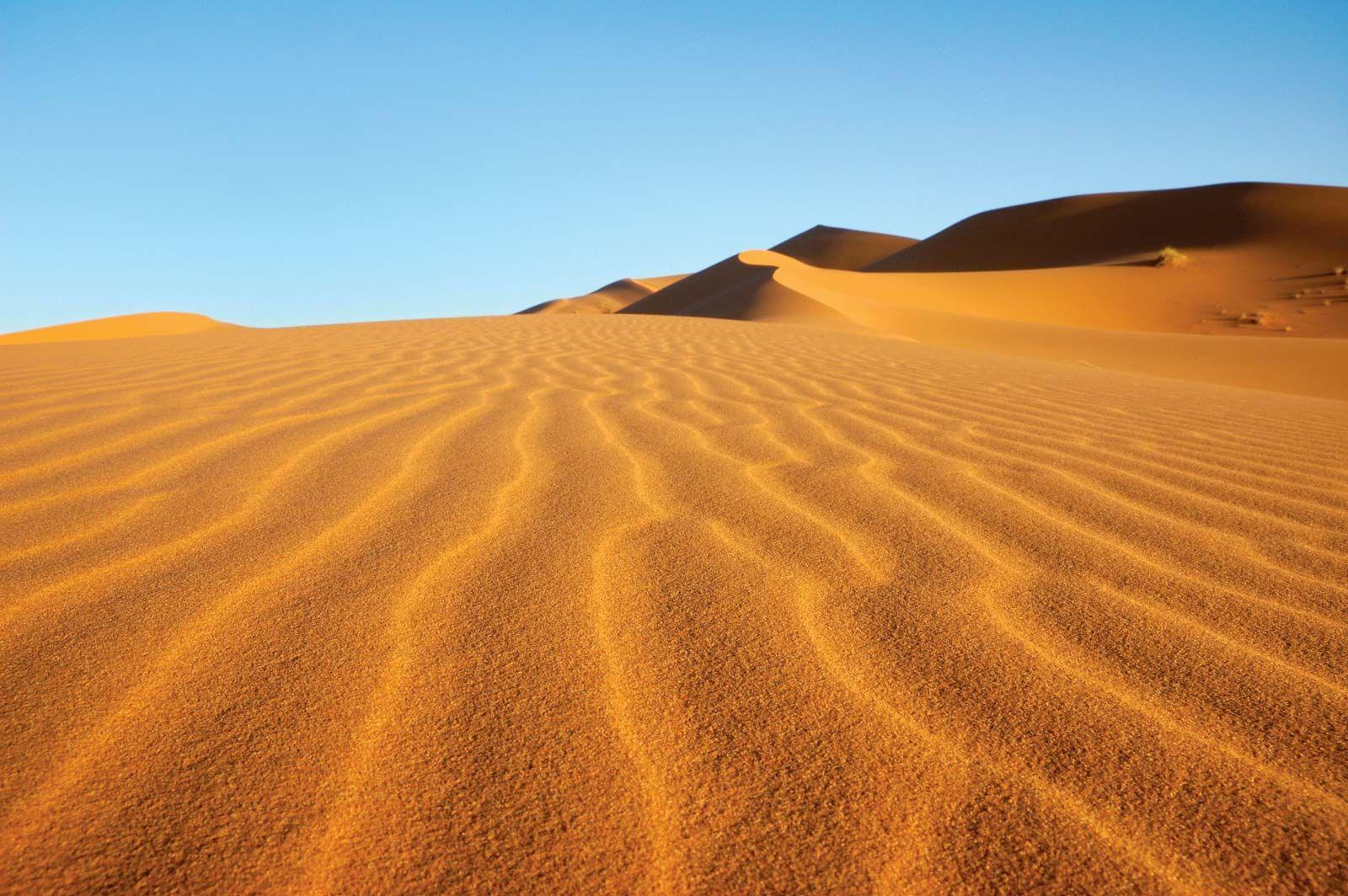 8)‍ Sahara: An Expedition ‍in‌ the​ Deserts ⁣of Africa